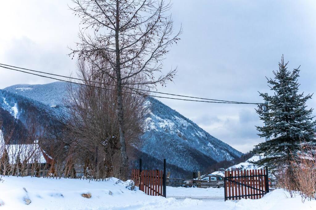 Ograda Magura Village Eksteriør bilde